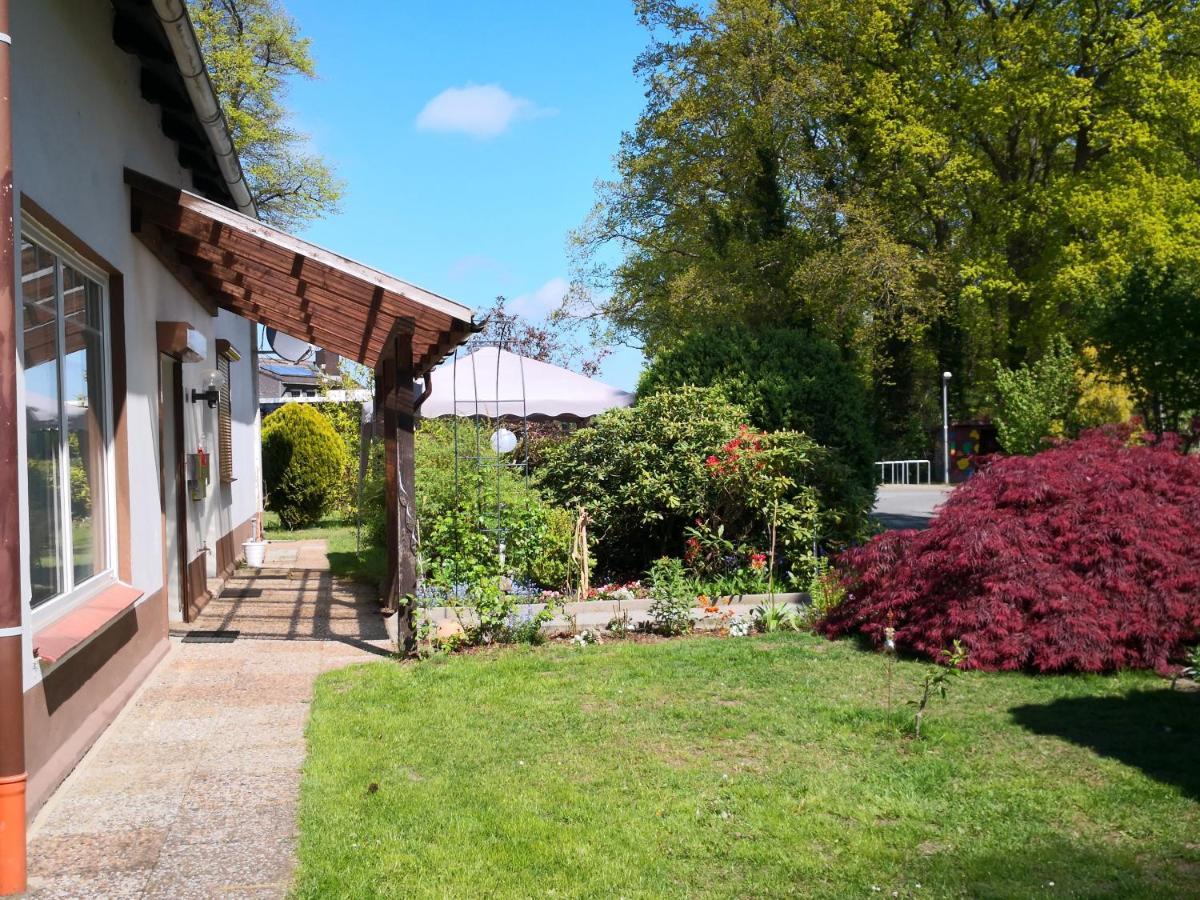 Kuenstler Ferienwohnung 3 Zimmer Kueche Bad Zentrale Lage Wulsbuttel 外观 照片