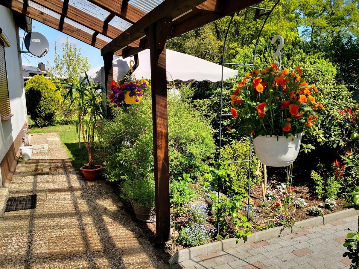 Kuenstler Ferienwohnung 3 Zimmer Kueche Bad Zentrale Lage Wulsbuttel 外观 照片