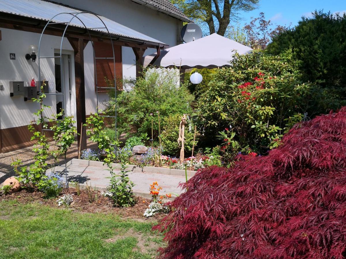 Kuenstler Ferienwohnung 3 Zimmer Kueche Bad Zentrale Lage Wulsbuttel 外观 照片